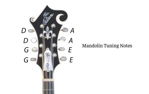 Mandolin Tuning Notes: Tuning Tutorial – Guitar Tuner – Guitar Tunio