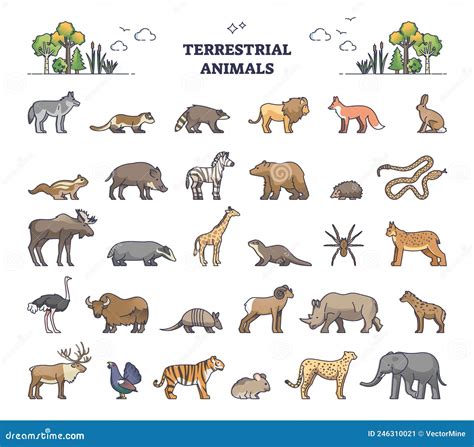 Terrestrial Animals Group As Living Species on Land Outline Collection Set Stock Vector ...