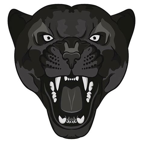 black panther head clipart 20 free Cliparts | Download images on Clipground 2024