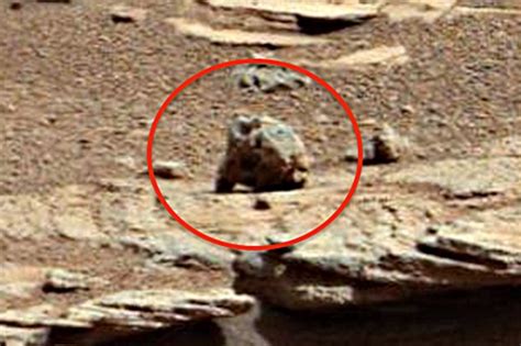 Live groundhog spotted on Mars, says alien investigator | Metro News