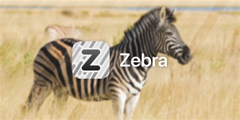 Zebra package manager updated to support iOS 15 & 16 on palera1n jailbreak