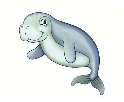 Dugong clipart, Download Dugong clipart for free 2019