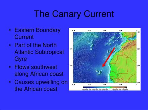 PPT - The Canary Current PowerPoint Presentation, free download - ID ...