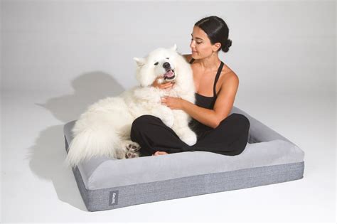 About Us | Barney Dog Beds