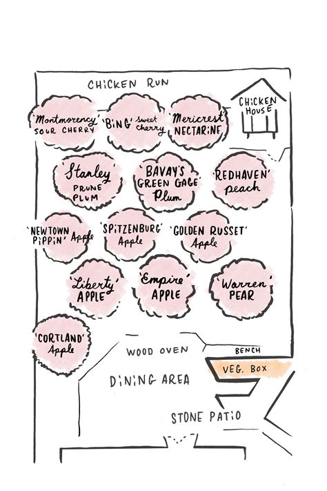 Layout Fruit Tree Orchard Design