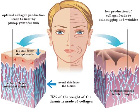 Skin Care Advice Blog: How to Naturally Increase Collagen Production