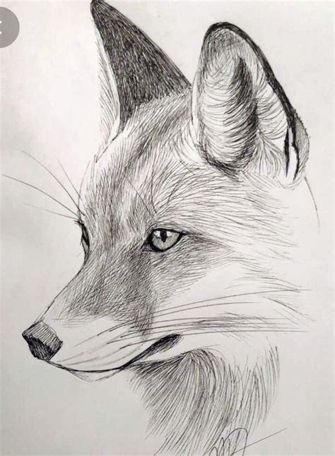 Pin by Soft Cat on Dibujos | Pencil drawings of animals, Animal ...