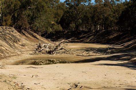 Anger grows in Australia as the Darling River dries up