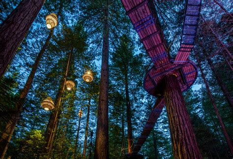 Trade & Media - Redwoods Treewalk®