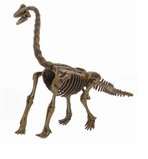 Dinosaur Skeleton Puzzle - Maryland Historical Society