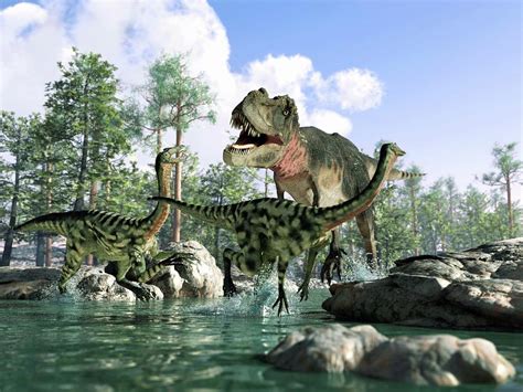 Tyrannosaurus Rex Hunting, Artwork by Science Photo Library - Leonello Calvetti