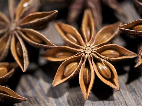 Buy Star Anise, Natural - Grand Bazaar Istanbul Online Shopping