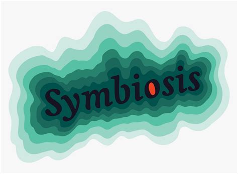 Symbiosis Logo 01 Rgb 1 - Graphic Design, HD Png Download , Transparent Png Image - PNGitem