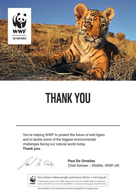 Adopt a Tiger | WWF