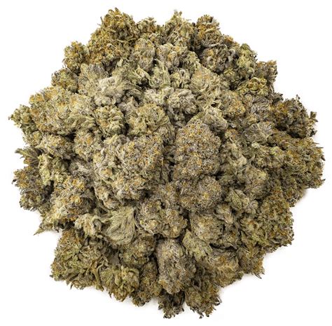 Do-Si-Dos - Wholesale - WTF Online Dispensary