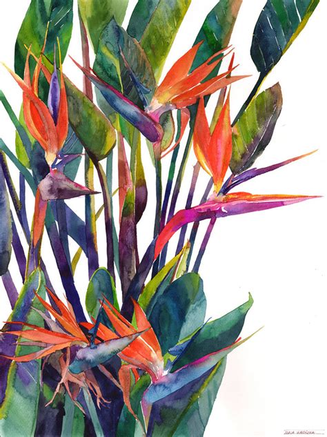 watercolor jungle :: Behance