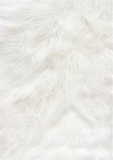 White Fur Wallpapers  Wallpaper Cave sketch template