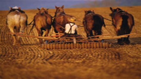 Amish Farming Draws Rare Government Scrutiny