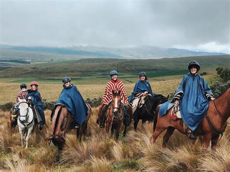 Animales De Cotopaxi