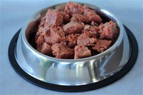 Raw dog food may kill – Michael Broad