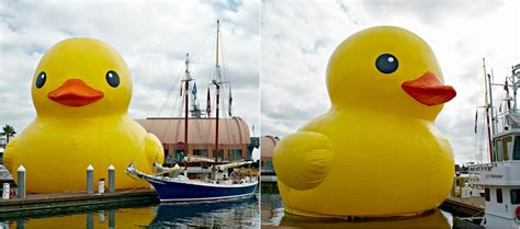 Macke Monologues: A Giant Rubber Ducky