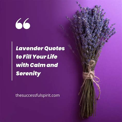 Lavender quotes – Artofit