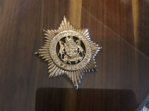 South African Police Badge | Police badge, Badge, African