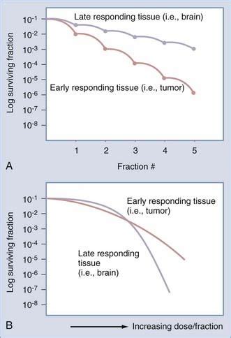 Principles of Radiation Therapy | Neupsy Key