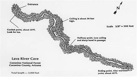 LAKE OR LAVA TUBES, FLAGSTAFF HAS IT ALL | Bear Essential News