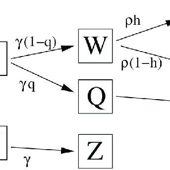 Schematic and simplified description of the epidemiological model. The ...