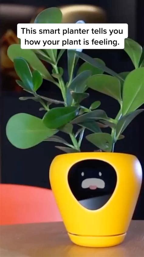 Smart Home Smart planter Idea | Pinterest