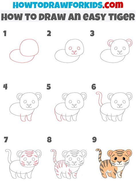 How To Draw A Baby Tiger Step By Step For Kids