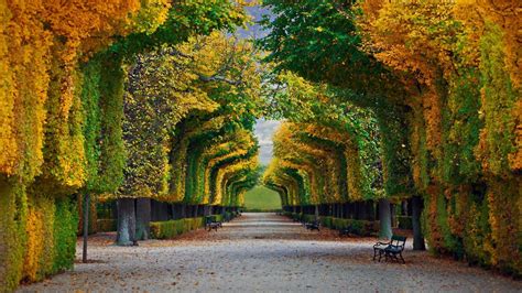 nature, Landscape, Trees, Forest, Fall, Park, Bench, Leaves, Vienna, Austria, Schönbrunn, Path ...