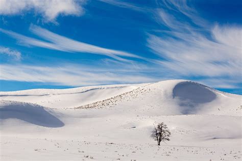 Winter Settles in Hayden Valley | Cindy Goeddel Photography, LLC