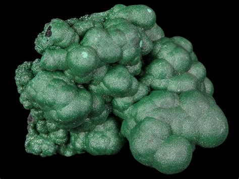 1.4" Botryoidal Malachite Crystal Formation - Congo (#67460) For Sale - FossilEra.com