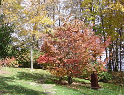 Grounds at Kentuck Knob, a Frank Lloyd Wright designed home in Pennsylvania - Travel Photos by ...