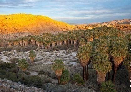 Coachella Valley Preserve, California - Recreation.gov