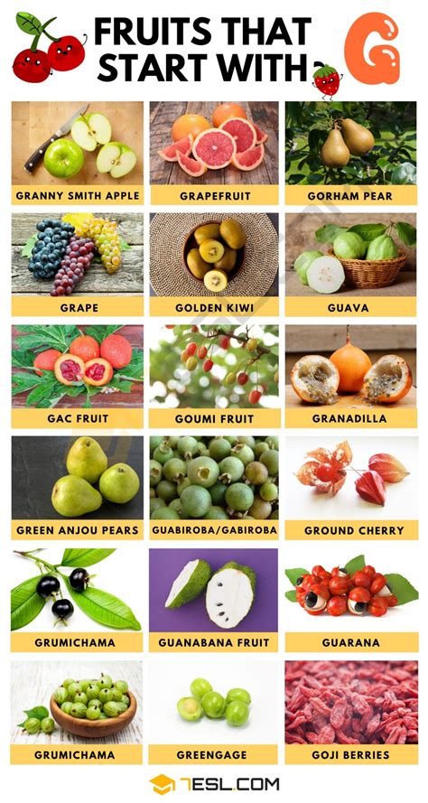 Fruits that Start with G in English • 7ESL