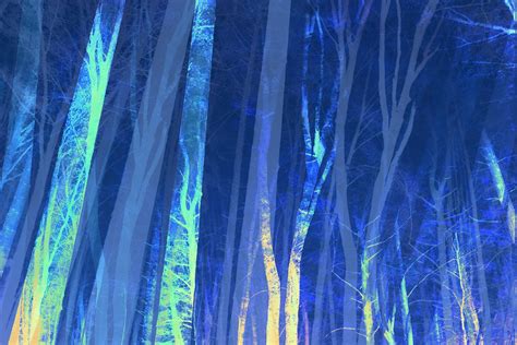 Buy Forest Trees Night Blue wallpaper - Free shipping