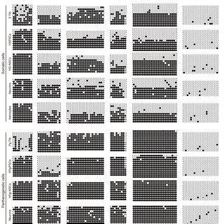 DNA methylation patterns of imprinted genes. Methylation of imprinted ...