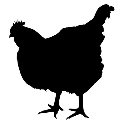 Chicken Vector Graphics Silhouette The Broad Chicken Png Download ...