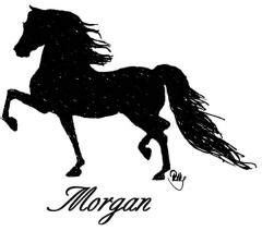 Morgan Horse Silhouette at GetDrawings | Free download