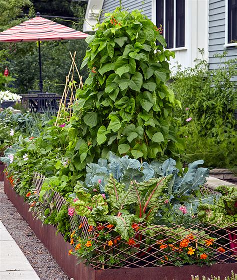 Small Vegetable Garden Ideas | Garden Gate