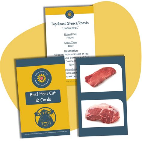 Meat Science: Wholesale/Retail Beef Meat Cut Identification Flashcards ...