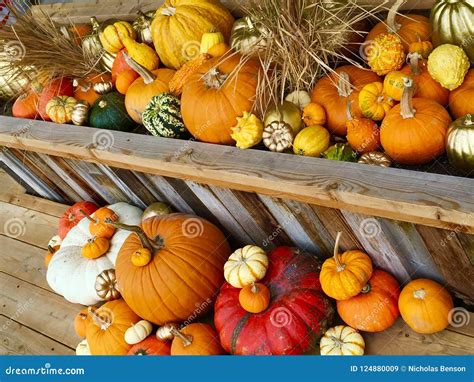 Pumpkin Scene for Fall stock image. Image of autumn - 124880009