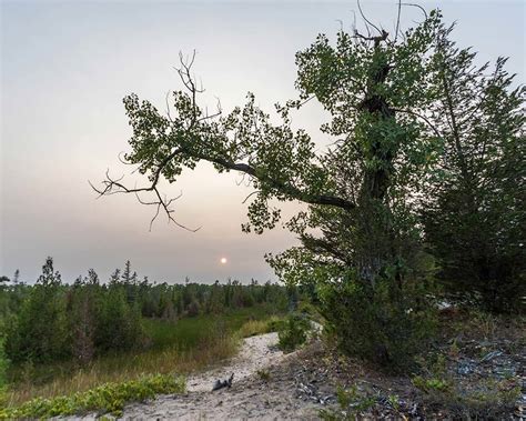 Discover The Shores of Presqu'ile Provincial Park in Ontario ...