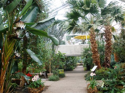 Indoor Botanical Gardens