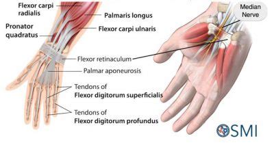 Hand and Wrist Injuries