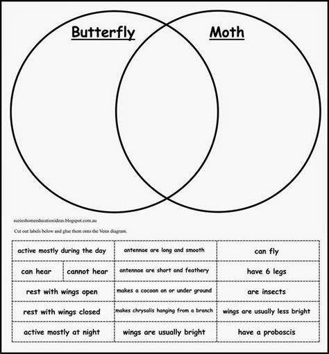 Life Cycle of a Moth - FREE Printables | Life cycles, Homeschool science, Fun science