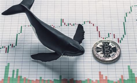 ‘Whales’ & Their Impact On The Cryptocurrency Market! – Forex Academy